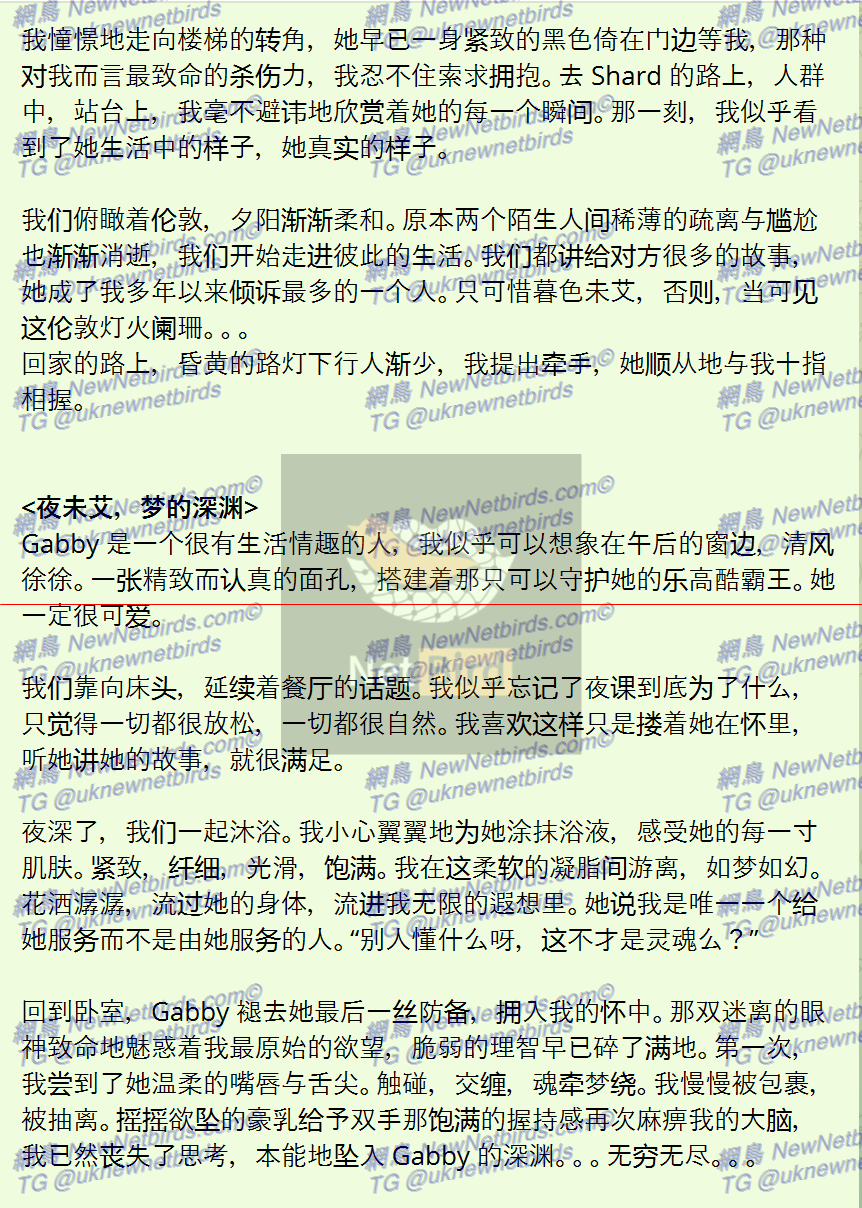 戰號 999 4.png